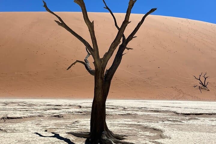 2-Day Sossusvlei Budget Guided: Sunrise Dunes & Sesriem Canyon photo 5