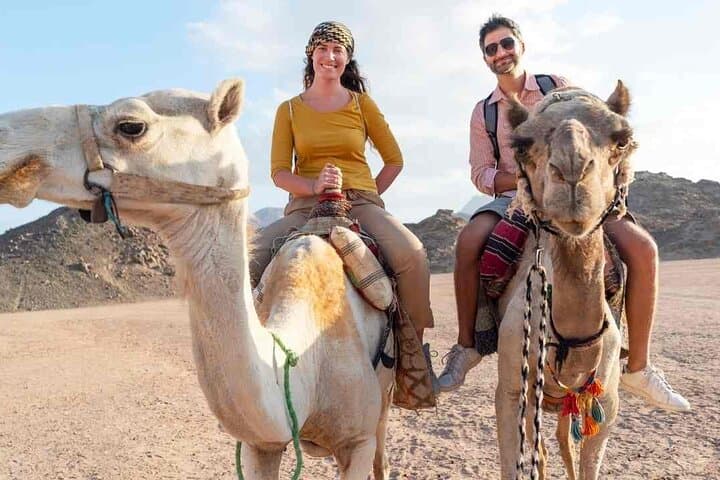 Super Safari 5-in-1 Desert Adventure from Sharm El Sheikh — ATVs, Sandboarding & Bedouin Breakfast photo 4