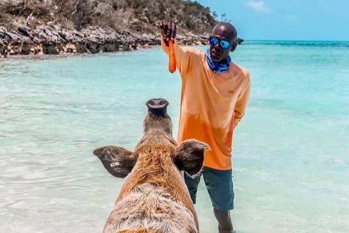 Exuma Cays Turquoise Experience: Private Day Charter from Nassau