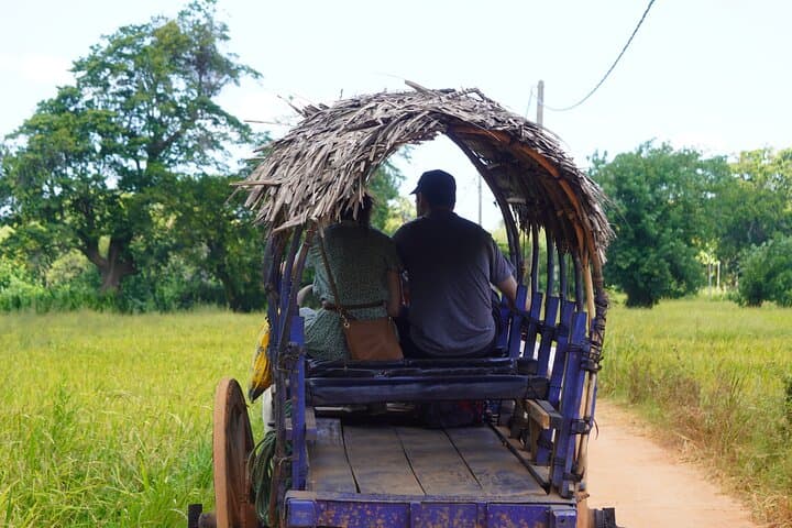 Essential Sri Lanka: 9 Days of Culture, Tea and Elephants photo 6