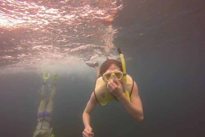 Rincon Snorkeling Adventure: Shore-Entry Snorkel in Tres Palmas Marine Reserve photo 6