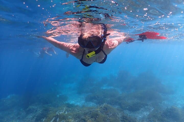 Klein Bonaire Marine Park Two-Stop Snorkel Trip from Kralendijk photo 3