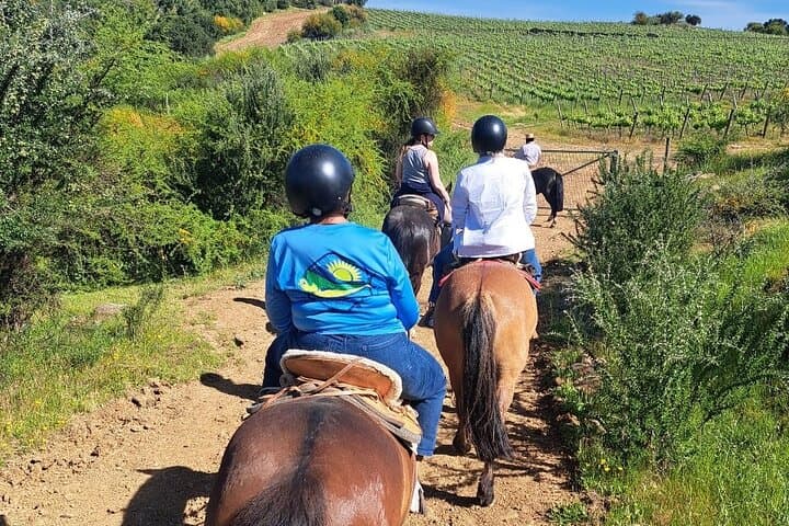MontGras Private Wine & Horseback Day Trip from Santiago photo 3