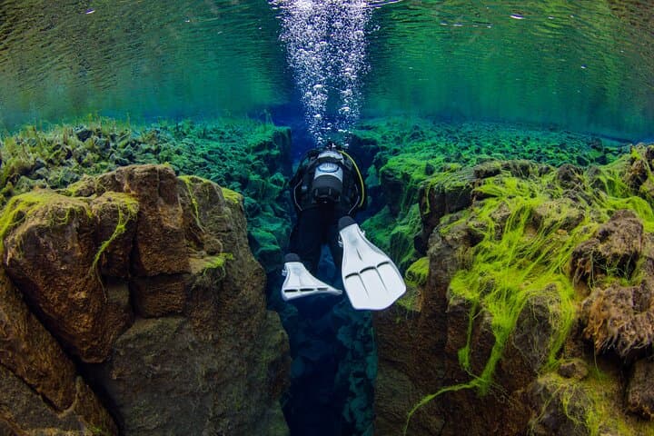 Dive Silfra Fissure: Dry-Suit Scuba Tour from Thingvellir (4-Hour Small-Group) photo 5