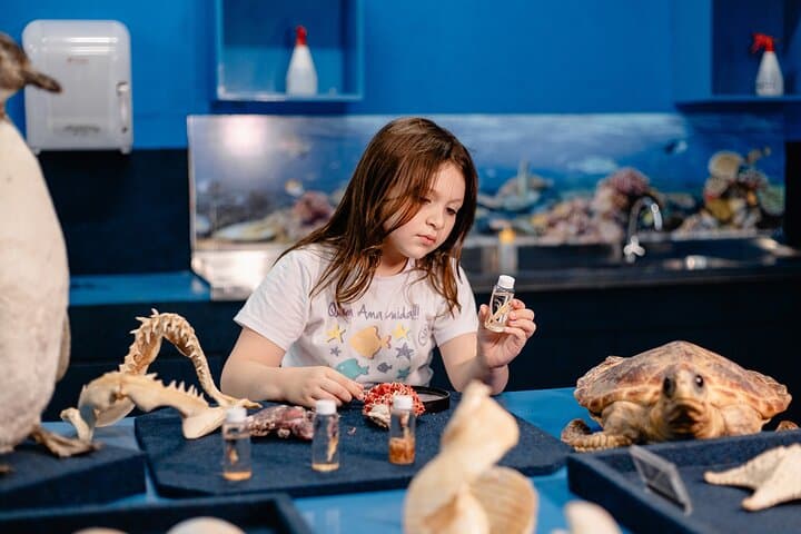 Explore Univali Oceanographic Museum Piçarras: Marine Biodiversity & Sensory Experience photo 2
