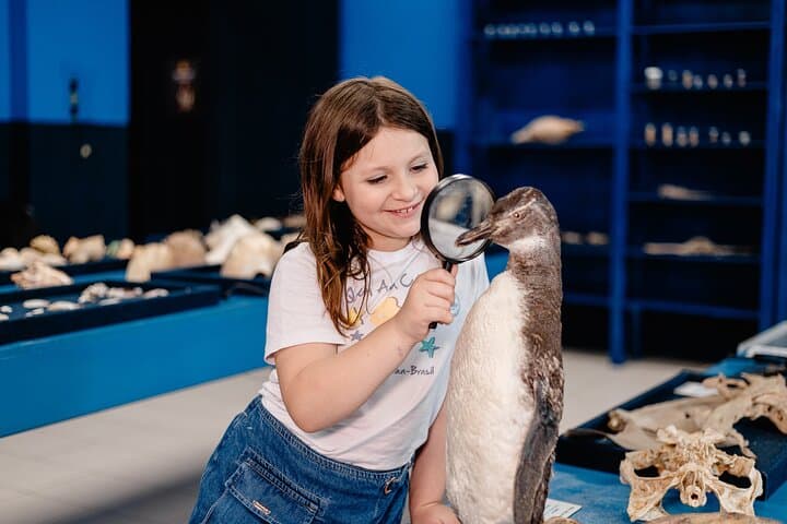 Explore Univali Oceanographic Museum Piçarras: Marine Biodiversity & Sensory Experience