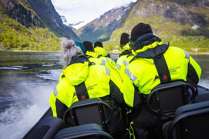 RIB Safari to Osafjord: Ulvik Hardangerfjord Small-Boat Adventure photo 4