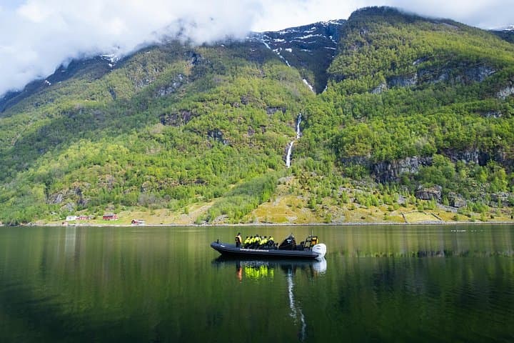 RIB Safari to Osafjord: Ulvik Hardangerfjord Small-Boat Adventure photo 3
