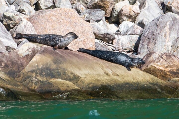 Hardangerfjord RIB Safari from Ulvik — Bridge, Waterfalls & Roadless Fjord Arms photo 2