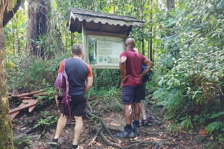 Wet and Rugged Dominica: Waterfalls, Lakes & Titou Gorge Adventure photo 2