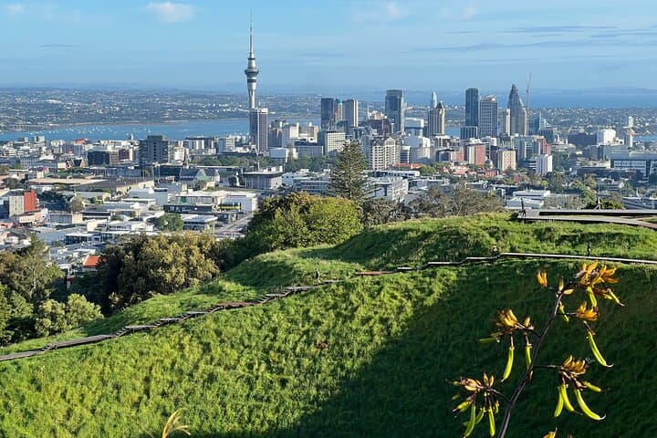 Auckland Half-Day Highlights: Mount Eden, Tamaki Drive & Harbour Views