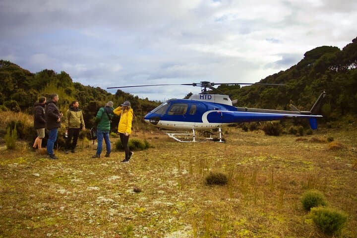 Full Stewart Island (Rakiura) Scenic Flight — Northwest Circuit, Mason Bay & Paterson Inlet