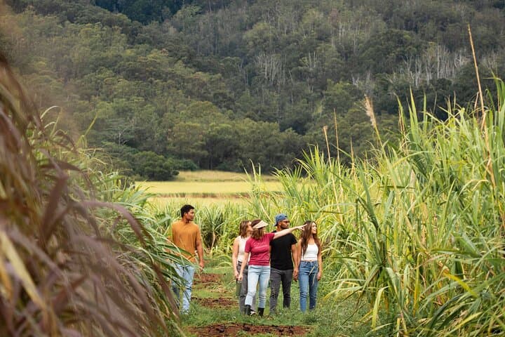 Ko Hana Rum Tour Kunia Oahu: Distillery, Sugarcane Garden & Tasting photo 3