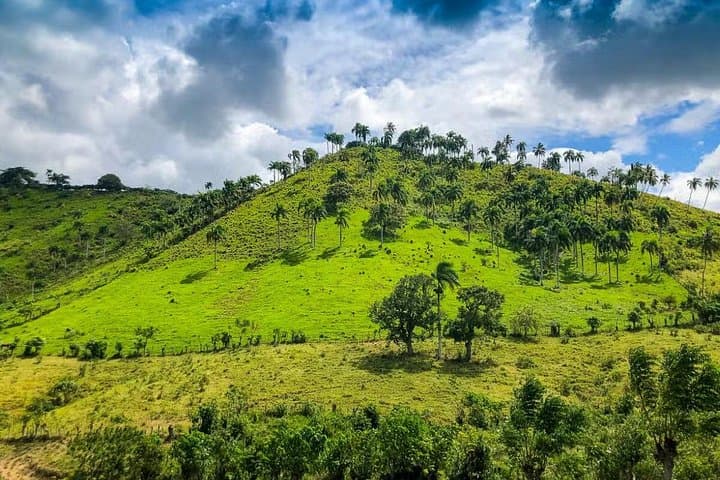 Experience Dominican Culture on a Safari Adventure in Punta Cana photo 1
