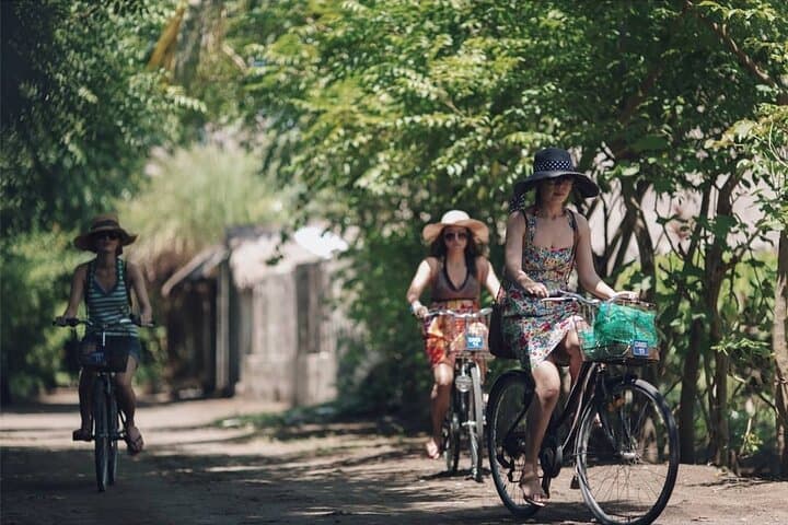 Gili Islands Day Tour: Snorkel Turtle Points & Cycle Gili Trawangan photo 6