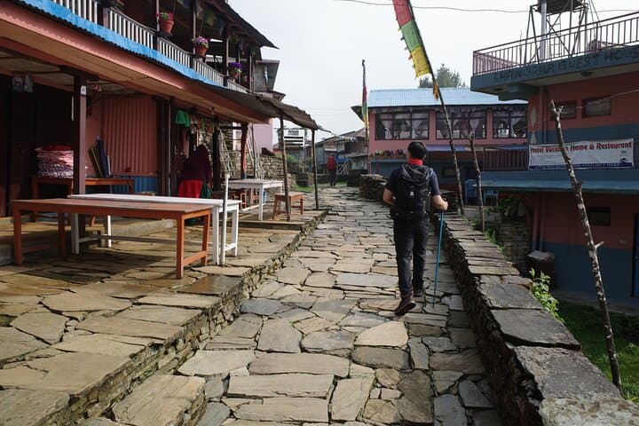 Mardi Himal Trek: 6-Day Annapurna Ridge Trek from Kathmandu photo 3
