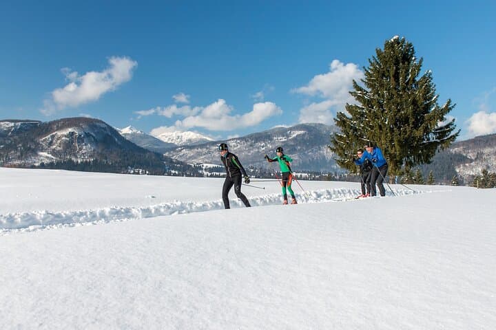 Private Cross-Country Ski Lesson at Park Jezersko — Classic & Skate Coaching photo 6