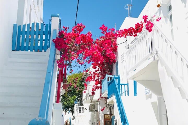 Half-Day Private Tour: Discover Mykonos' Hidden Beaches & History photo 3