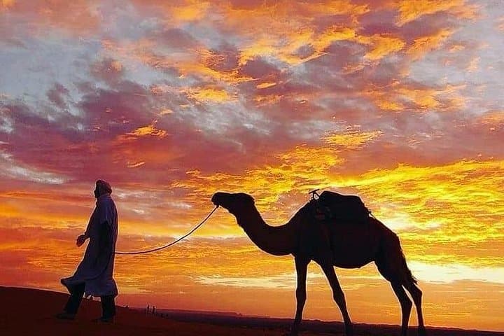 Private Morocco Tour: Imperial Cities to Sahara Desert in 10 Days photo 5