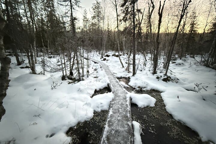 Vikaköngäs Rapids Photography Tour from Rovaniemi: Arctic Forest Hike & Photo Guide photo 3