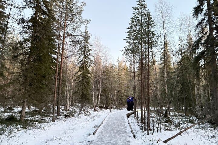 Vikaköngäs Rapids Photography Tour from Rovaniemi: Arctic Forest Hike & Photo Guide photo 4