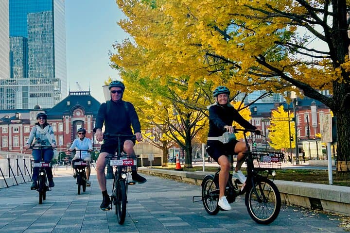 Tokyo E-Bike Tour: 3-Hour Hidden Gems & Local Life