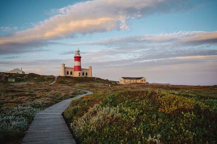 Full-Day Cape Agulhas Private Tour – Southernmost Point, Lighthouse & Penguin Colony photo 2