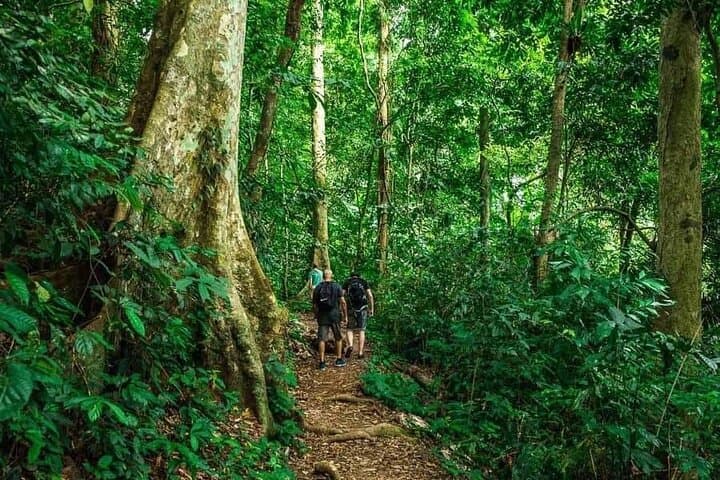 Full-Day Trekking in Cuc Phuong National Park from Ninh Binh photo 2