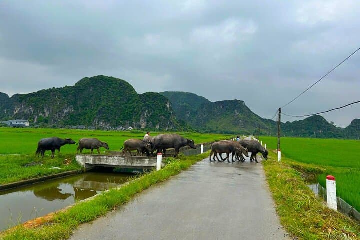 Ninh Binh One-Day Motorbike Tour: Tam Coc to Hidden Caves & Farm Experience photo 2