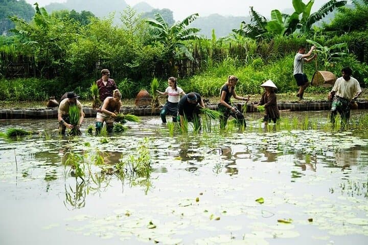 Ninh Binh Motorbike Adventure: Ride Rice Paddies, Caves & Villages in a Day photo 4
