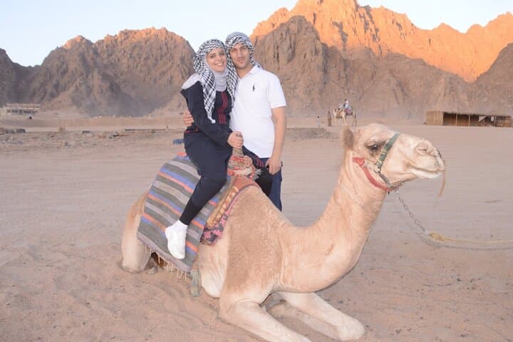 Marsa Alam Desert Safari: Quad, Camel & Bedouin Evening with BBQ photo 4