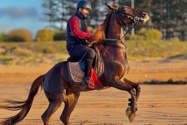 Horseback Riding in Haouzia: Beach & Forest Rides Near Casablanca photo 1