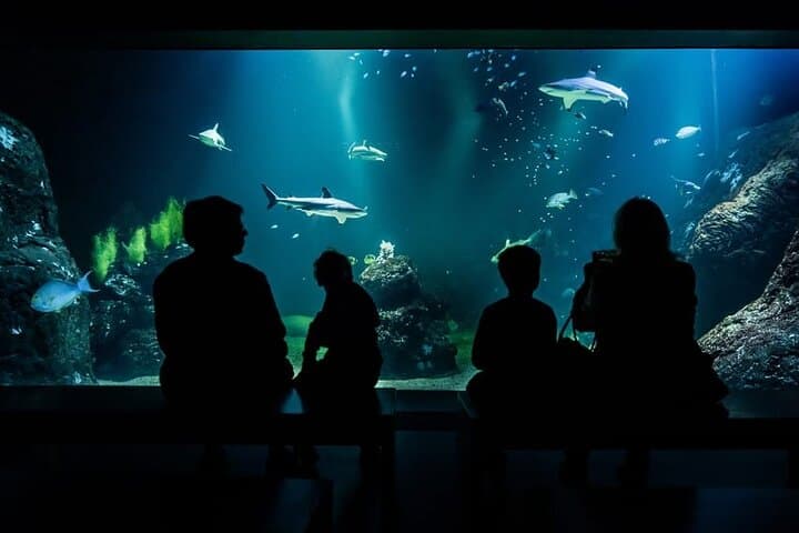 Universeum Gothenburg: Science Center, Aquarium & Rainforest Tickets photo 2