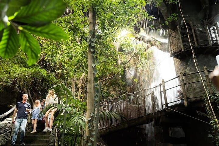 Universeum Gothenburg: Science Center, Aquarium & Rainforest Tickets