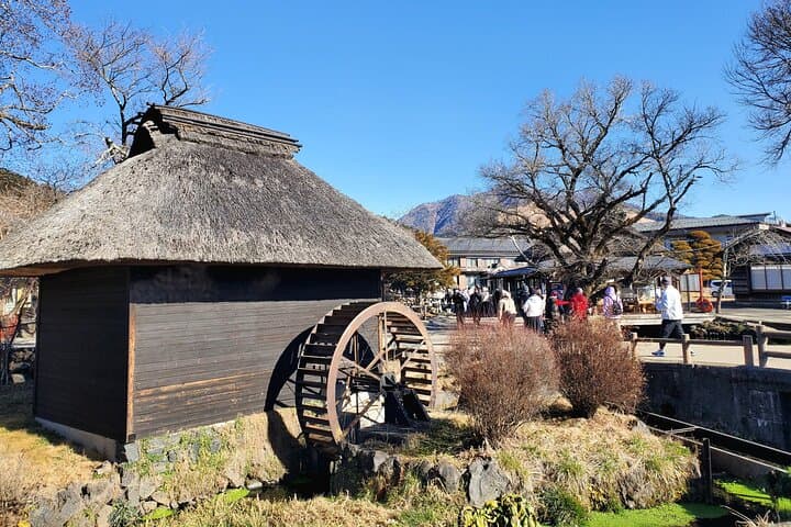 Private Full-Day Mount Fuji Tour from Yokohama — Chureito Pagoda, Oshino Hakkai & Lakes photo 3