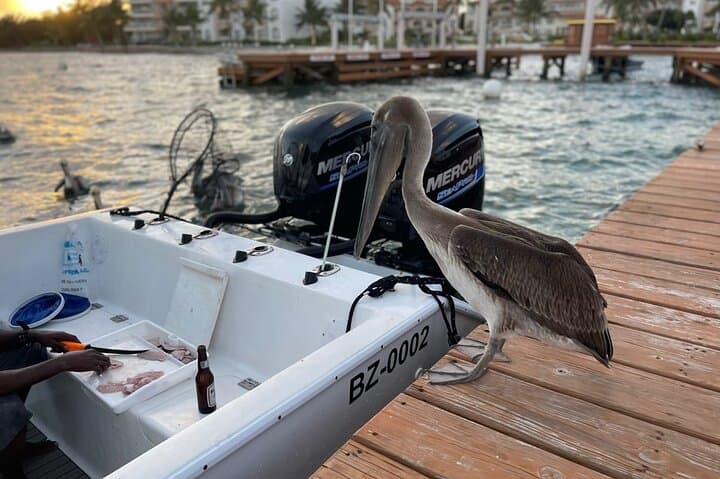 San Pedro Reef Fishing and BBQ Adventure: A Deep-Sea Journey in Belize photo 6