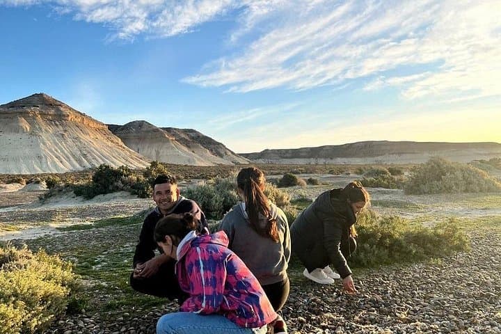 South Circuit Walking Tour — Best of Puerto Madryn for Cruise Passengers