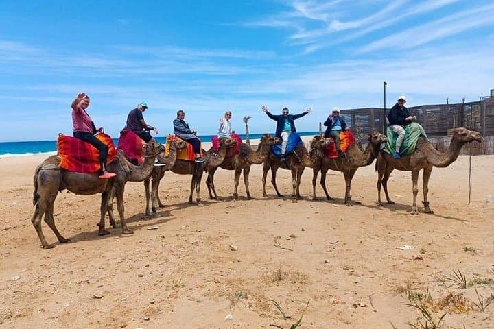 Tangier Guided Day Tour: Cap Spartel, Caves of Hercules & Old Medina photo 4
