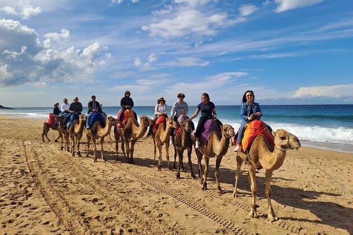 Tangier Coastal Tour: Camel Ride, Café Hafa & Cape Spartel Views photo 2