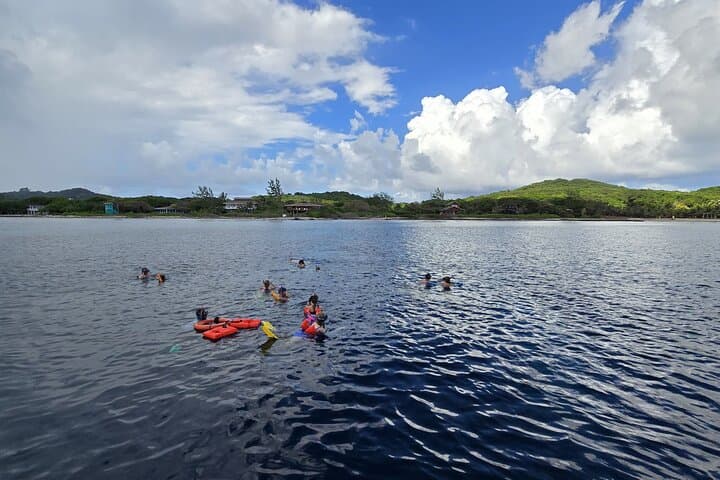 Roatán Private Sanctuary & Reef Snorkel: Guided Beach Club Escape photo 5