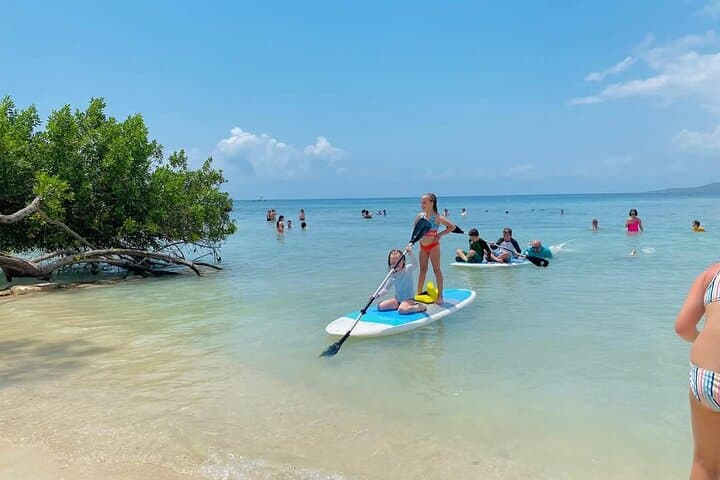 Private Beach & Animal Sanctuary Day Trip on Roatán: Sloths, Monkeys and Brady's Cay photo 6