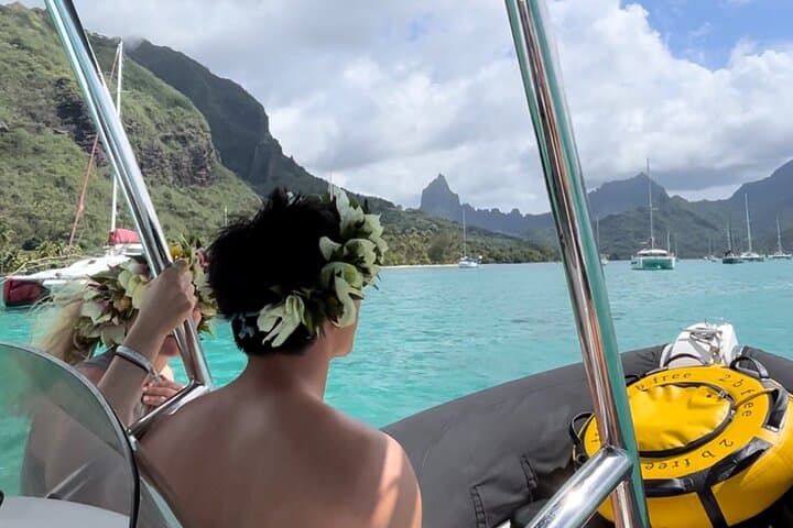 Moorea Freediving & Snorkel Half-Day: Boat Tour with Rays, Turtles & Sharks