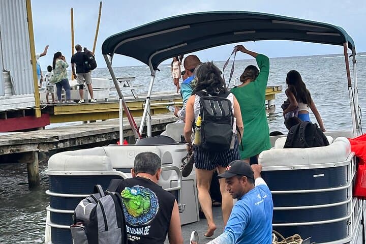 Two-Stop Snorkeling at West Bay Beach and Gumbalimba Eco Park — Roatán Reef Adventure photo 4
