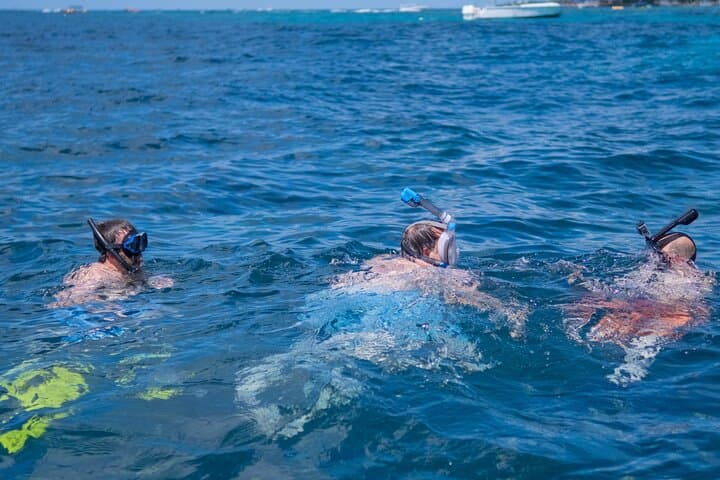 Two-Stop Snorkeling at West Bay Beach and Gumbalimba Eco Park — Roatán Reef Adventure photo 5