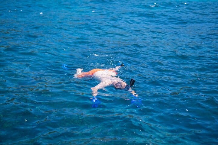 Two-Stop Snorkeling at West Bay Beach and Gumbalimba Eco Park — Roatán Reef Adventure photo 6