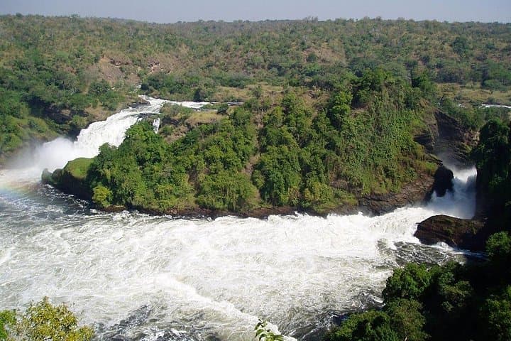 3-Day Murchison Falls Safari: Game Drives, Boat Cruise & Rhino Tracking photo 1