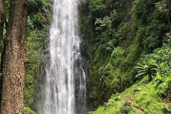 Materuni Waterfall to Chemka Hot Springs: Full-Day Hike, Coffee and Soak from Moshi photo 6