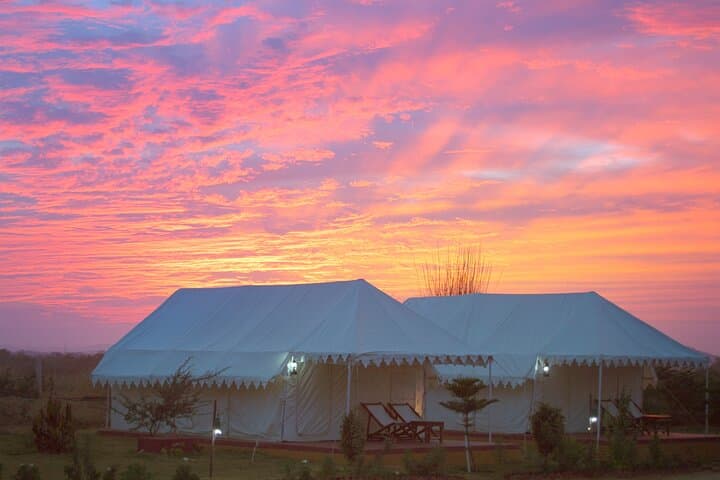 Pushkar Camel Safari and Overnight Desert Camp Experience photo 3
