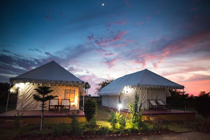 Pushkar Camel Safari and Overnight Desert Camp Experience