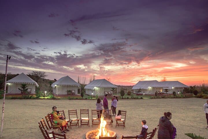 Pushkar Camel Safari and Overnight Desert Camp Experience photo 4